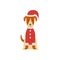A cute Smooth Fox Terrier is standing in a Christmas red costume.