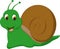 Cute snail cartoon cartoon