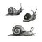 Cute snail cartoon pattern of funny ethnic drawings. Drawing by hand, pencil