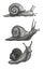 Cute snail cartoon Set of funny ethnic drawings. Drawing by hand, pencil
