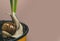 Cute snail near green plant. Natural remedies. Adorable snail close up. Little slime with shell plant pot. Cosmetology