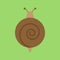 Cute snail round vector icon