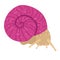 Cute snail in a shell in pink color. Vector hand drawn cartoon