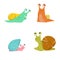 Cute snails set. Different snail-paced slugs, funny snail characters collection.