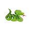 Cute snake stuck out his tongue with white background cartoon