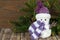 Cute snow man in hat and scarf on a natural wood background