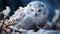 Cute snowy owl perching on branch, staring at camera generated by AI