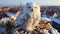 A cute snowy owl perching on a snowy branch generated by AI