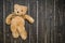 Cute soft brown teddy bear laying on wooden shabby background