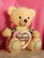 Cute soft teddy bear with gingerbread heart