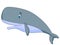 Cute sperm whale cartoon