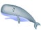 Cute sperm whale cartoon