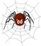 Cute spider cartoon