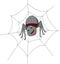 Cute spider cartoon