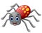 Cute spider cartoon