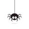 Cute Spider hanging on cobweb. Halloween character