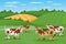 Cute spotted cows in the pasture, summer landscape. A herd of cows is grazing in the meadow. Poster, banner, illustration vector