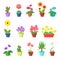 Cute spring flowers in pots vector