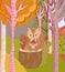 Cute squirel with acorns forest trees hello autumn