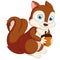 Cute squirel cartoon