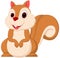 Cute squirrel cartoon