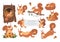 Cute squirrel cartoon character set, flat vector isolated illustration. Funny forest wild animals. Emoji, logo, sticker.