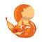 Cute Squirrel Lying on Its Back, Funny Little Orange Rodent Animal Cartoon Character Vector illustration