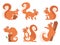 Cute squirrel. Zoo little forest animals in action poses wildlife squirrel vector cartoon character