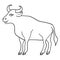 Cute standing bull in cartoon style. Outline, black and white image