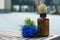 Cute still life of a bouquet of cornflowers and a glass jar with dried ears on the background of an urban landscape