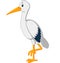 Cute stork cartoon