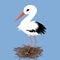 Cute stork on a nest