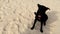 Cute stray black dog sitting on white sandy beach to beg for food from people