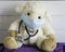 Cute stuffed sheep with surgical mask and stethoscope