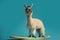 a cute and stylish llama rides a surfboard, Generative AI