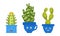 Cute Succulent Cactus or Cacti Plant Growing in Smiling Flowerpot Character Vector Set