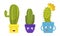 Cute Succulent Cactus or Cacti Plant Growing in Smiling Flowerpot Character Vector Set