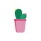 Cute succulent plant, little cactus, in pink pot on white isolated background. Interior object.