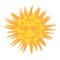 Cute Sun. Style the sun in sunglasses. Yellow-orange sun with a smile and glasses. Icon Vector illustration. Isolated on