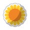 Cute sunflower isolated icon
