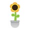 Cute sunflower on a pot