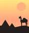Cute sunset background with camel dromedary silhouette in the desert and pyramids