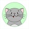 Cute Surprised Cat, Round Icon, Emoji. Gray Cat With A Whiskers, Smiles, shows tongue. Vector Image Isolated