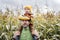 Cute surprised child in colorful sweater sitting on his father shoulders with ripe corn cob on yellow autumn corn field. Fall