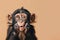 Cute, surprised monkey with large, captivating eyes on brown background. Ideal for promotions, great deals or offers