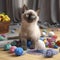 cute sweet grey himalayan tabby Baby Cat with blue eyes portrait sitting in a room and looking on many beautifull