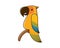 Cute and Sweet Parrot Perch on the Branch Illustration