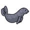 Cute swimming seal. Ocean animal life clipart.