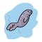 Cute swimming seal in the sea. Arctic nautical animal clipart