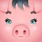 Cute swine girl cute pig woman square cartoon character face design vector illustration